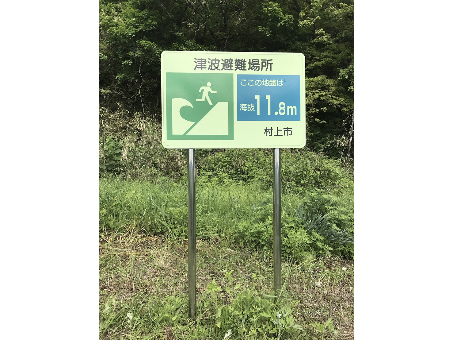 シートタイプ